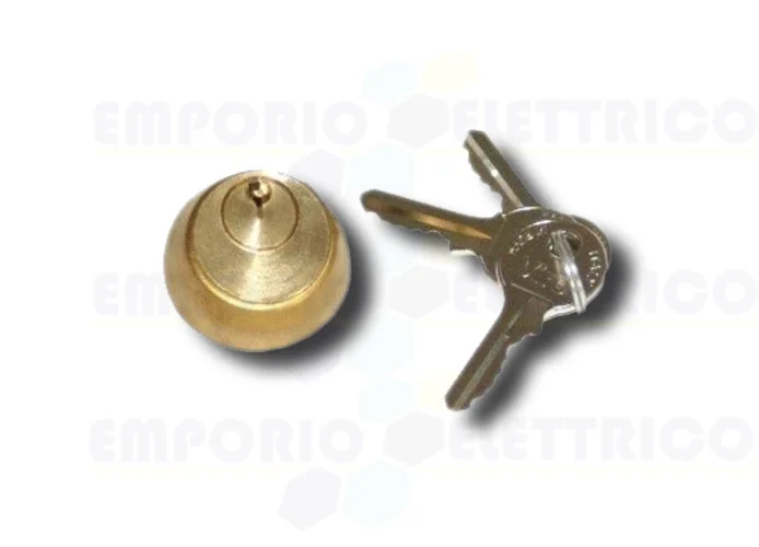 faac internal cylinder with 2 electrolock keys 712651001/36